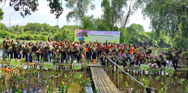 Kadin DKI Menanam Ratusan Pohon Bakau untuk Cegah Abrasi Pantai