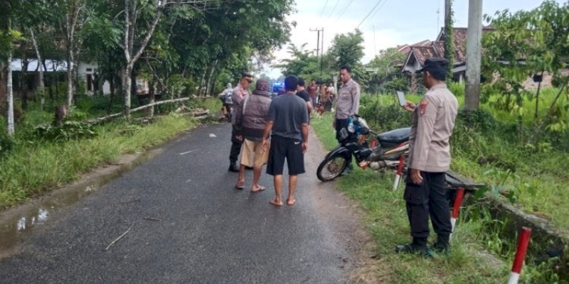 Satu Warga Meninggal Tertimpa Pohon Tumbang