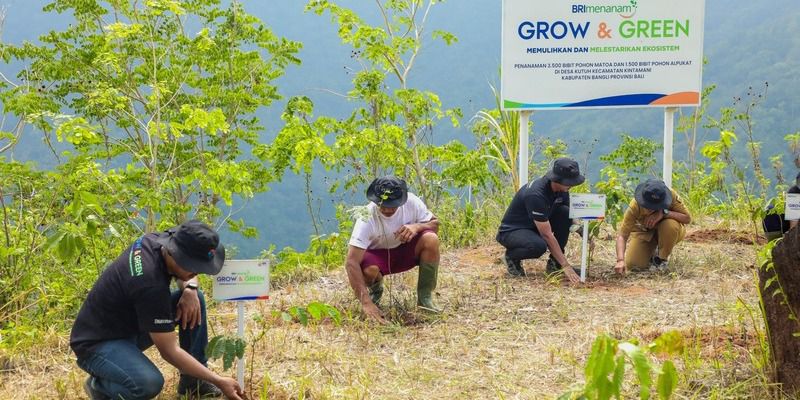 BRI Tanam Ribuan Bibit Pohon Produktif di Desa Kutuh Bali Bangli