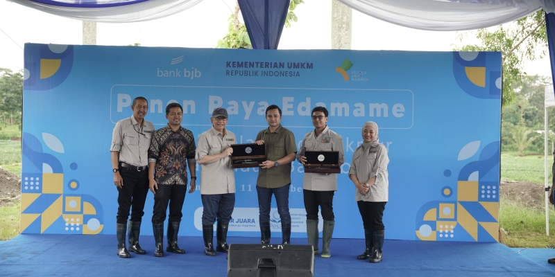 bank bjb dan Petani Mitra Panen Raya Komoditi Edamame