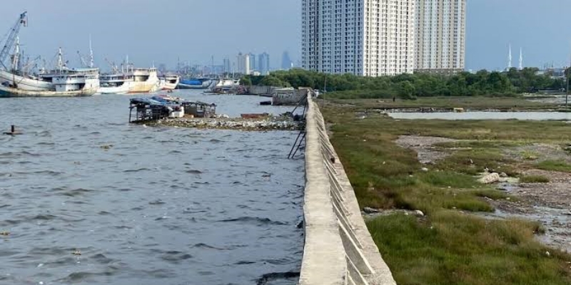 Jakut Langganan Banjir Rob, Pembangunan Giant Sea Wall Wajib Dikebut