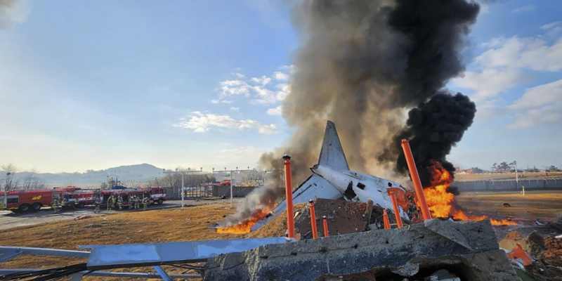 Pesawat Jeju Air Mungkin Jatuh usai Ditabrak Burung