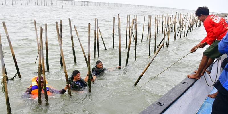 Penyelesaian Pagar Laut Parameter Keberhasilan Kabinet Merah Putih