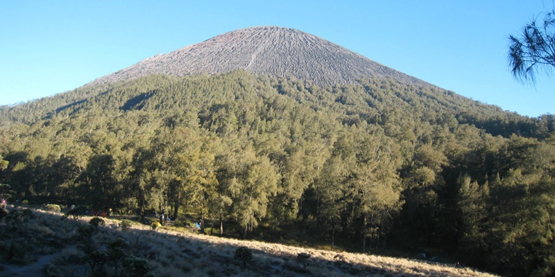 Gunung Semeru Alami 10 Kali Erupsi di Awal 2025