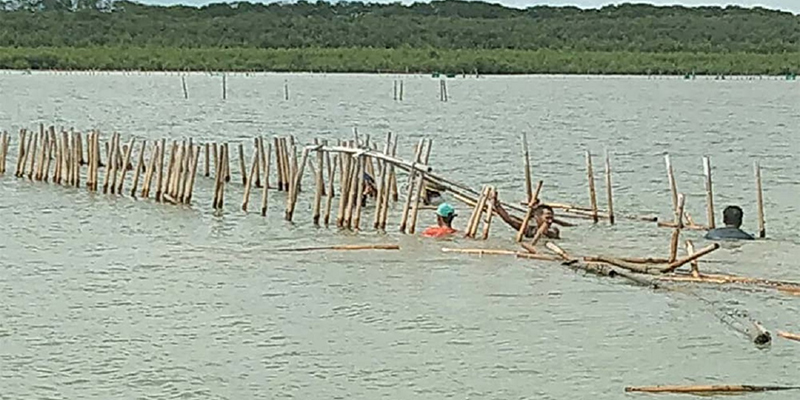 Terbantu Pagar Laut, Nelayan Sukawali: Untuk Budidaya Kerang dan Cegah Abrasi