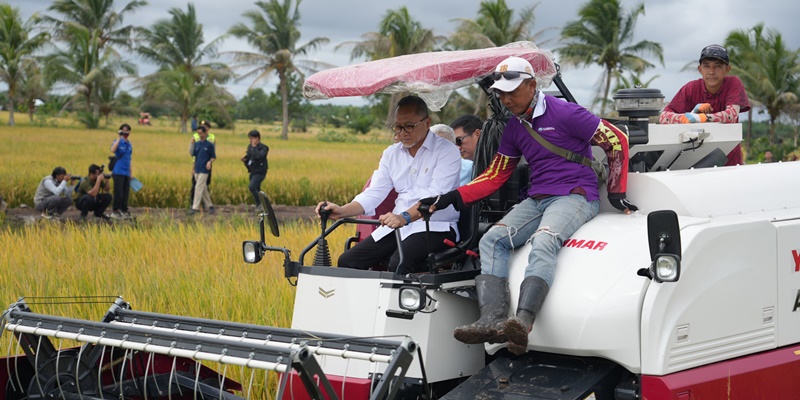 Zulhas Janji Bulog Beli Gabah Petani Rp6.500