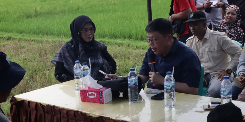 Teknik “Sawah Bapokok Murah”, Petani Hemat Biaya Sampai 50 Persen