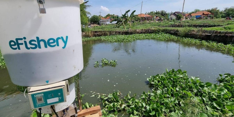 Skandal eFishery, Manajemen Dicurigai Gelapkan Dana Rp9,7 Triliun