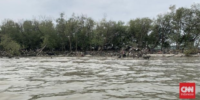 Pemilik HGB Laut Sidoarjo Ajukan Perpanjangan, Diduga Gadaikan Sertifikat untuk Jaminan Utang