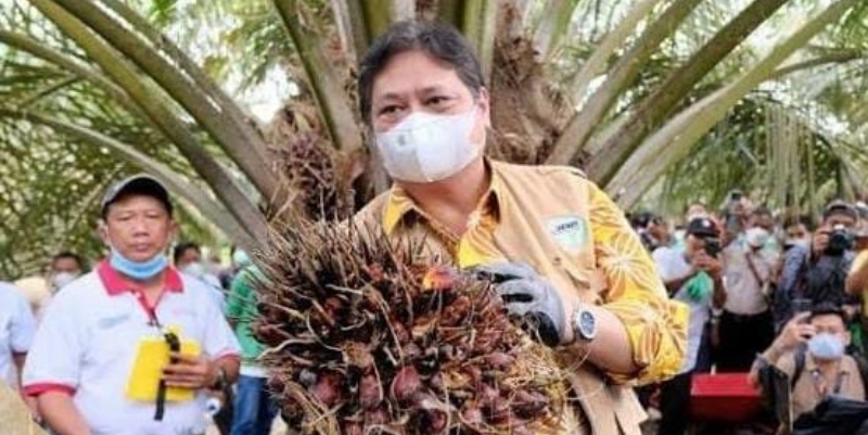 Keputusan WTO Titik Terang Penyelesaian Perjanjian Kemitraan Ekonomi Indonesia-Uni Eropa