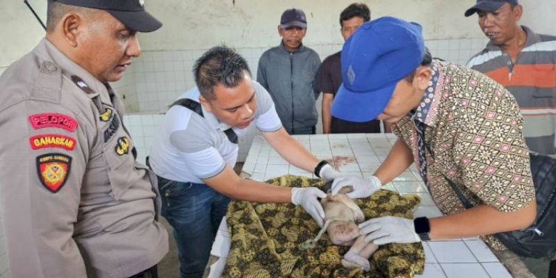 Heboh Bayi Dibuang di Irigasi, Terduga Pelaku Siswi SMA