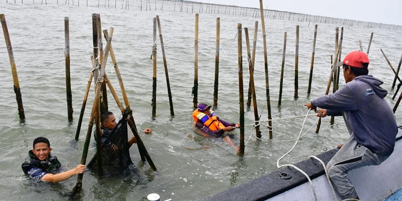 Cabut Pagar Laut