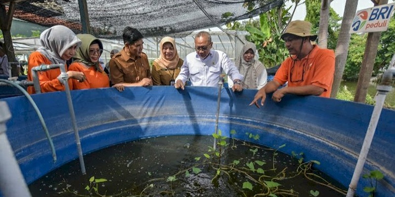 Konsep Urban Farming Diharapkan Mampu Sukseskan Program MBG