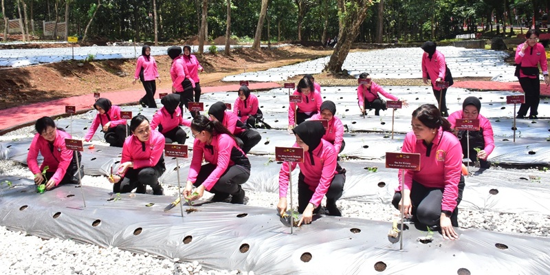 Program P2L Akpol Semarang <i>Role Model</i> Kemandirian Pangan Polri