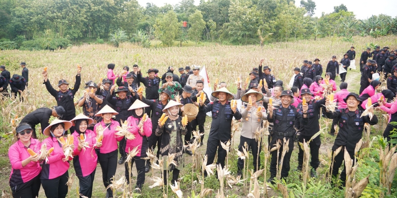 Brimob Polda Jateng Panen 9 Ton Jagung Dukung Ketahanan Pangan