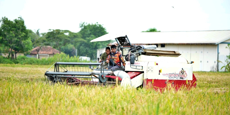 Jelang Ramadan, Perum Bulog Sudah Serap 140 Ribu Ton Gabah dan Beras