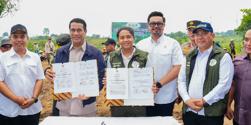 Dukung Swasembada Pangan Prabowo, Menhut-Mentan Lakukan Penanaman Padi Gogo di Lahan Kering