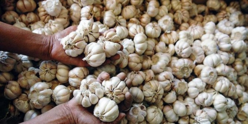 KPPU Pantau Kenaikan Harga Bawang Putih Dalam Negeri