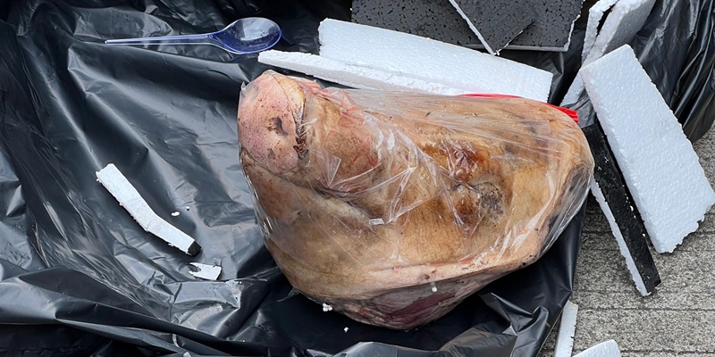 IPW Desak Polisi Serius Ungkap Pelaku Teror Kepala Babi