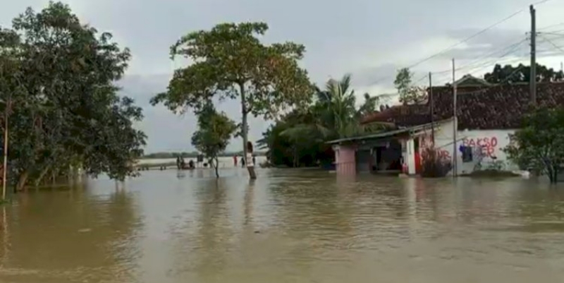 500 Rumah di Grobogan Terendam Akibat Bendung Tuntang Jebol