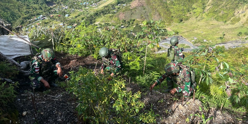 TNI Bangun Ketahanan Pangan di Lereng Curam Perbukitan Puncak Jaya
