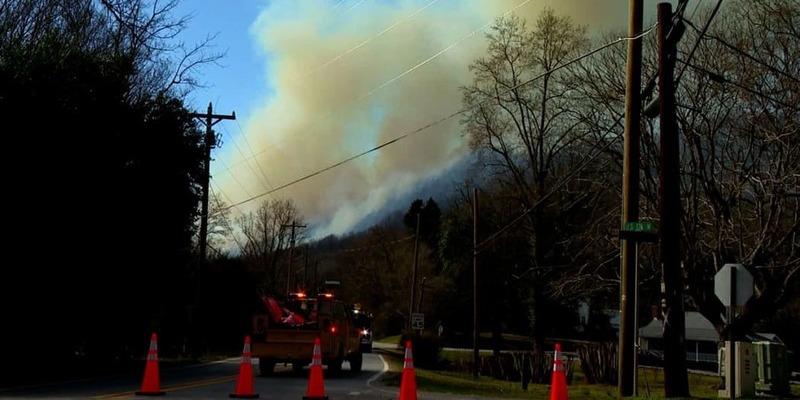 Hutan di Carolina Utara dan Selatan Terbakar, Picu Evakuasi Massal