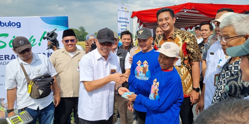 Bulog Prediksi Serapan Gabah Petani Aman di Klaten