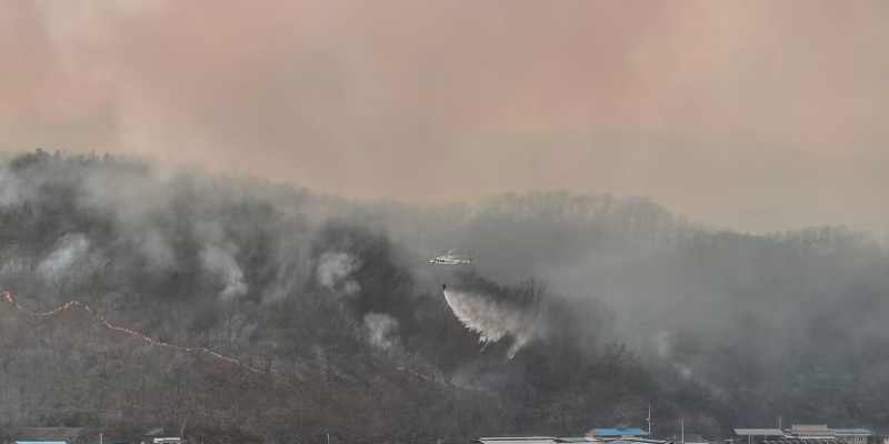 Kebakaran Hutan Landa Korea Selatan, Empat Tewas Ratusan Mengungsi