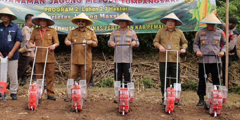 Dukung Ketahanan Pangan, Polres Pemalang Tanam Jagung dengan Sistem Tumpangsari