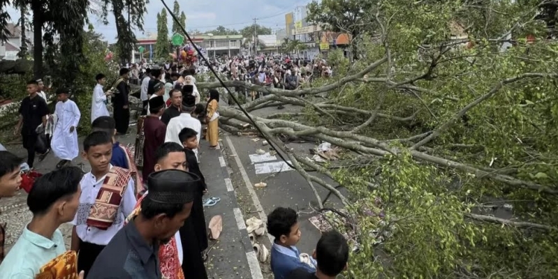 Dua Jemaah Salat Id Meninggal Dunia Tertimpa Pohon Tumbang