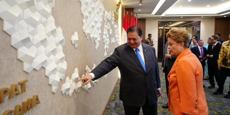 NDB hingga Asta Cita Dibahas Airlangga Bersama Dilma Rousseff