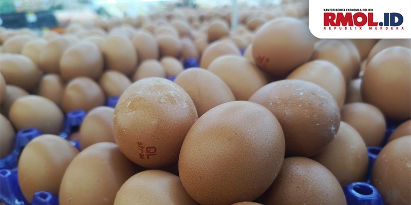 Harga Telur Ayam di Makassar Tembus Rp51 Ribu/Kg