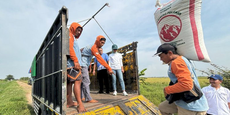Serapan Gabah Capai 103 Persen, Bulog Jabar Tetap Genjot Pembelian