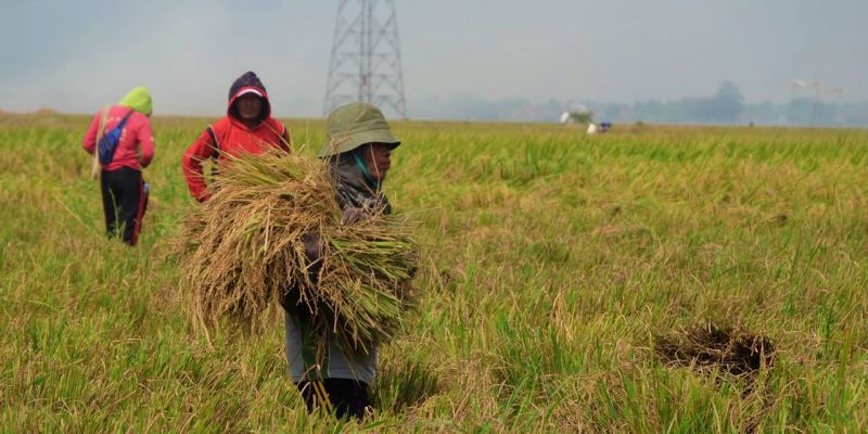 Serapan Bulog Naik 2.000 Persen, Hensat: Kado Istimewa Momen Lebaran