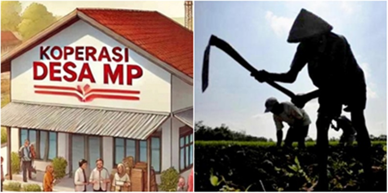 Sesat Pikir Koperasi Desa