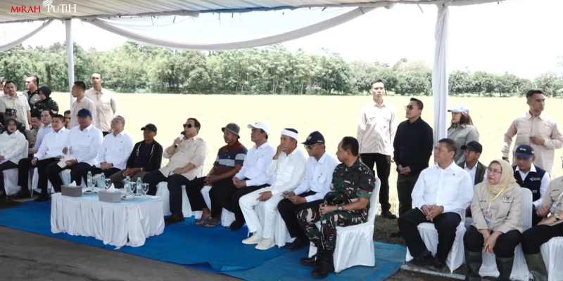 Prabowo Ikut Panen Raya Bareng Petani di 14 Provinsi