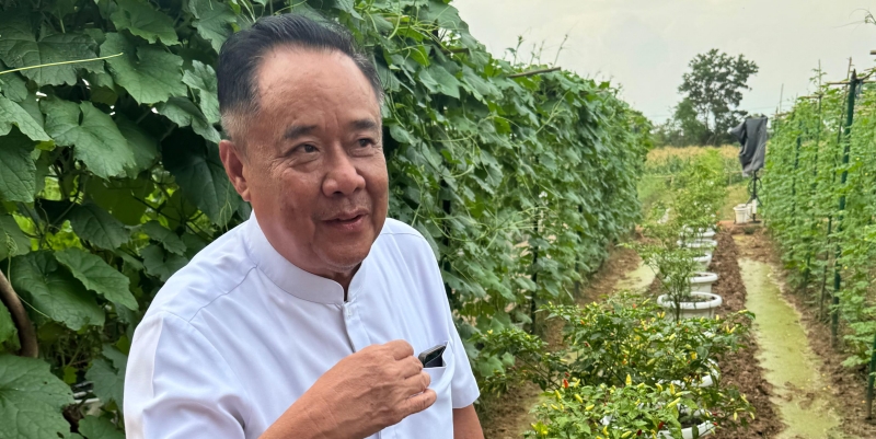 Cik Ujang Dorong Pertanian jadi Kunci Pembangunan Berkelanjutan di Sumsel