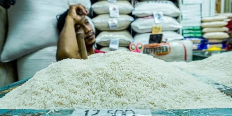 Pemerintah Perkuat Ketahanan Pangan Demi Kedaulatan Bangsa