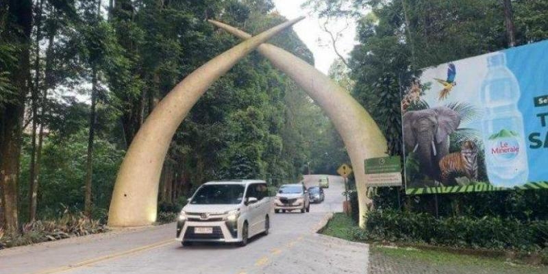 Dugaan Perbudakan Modern dalam Kasus Pemain Sirkus OCI Disorot