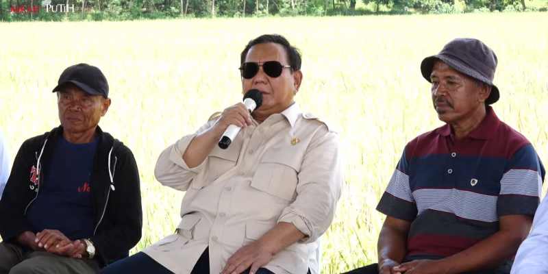 Prabowo Beli 1.000 Burung Hantu untuk Atasi Hama Tikus di Majalengka