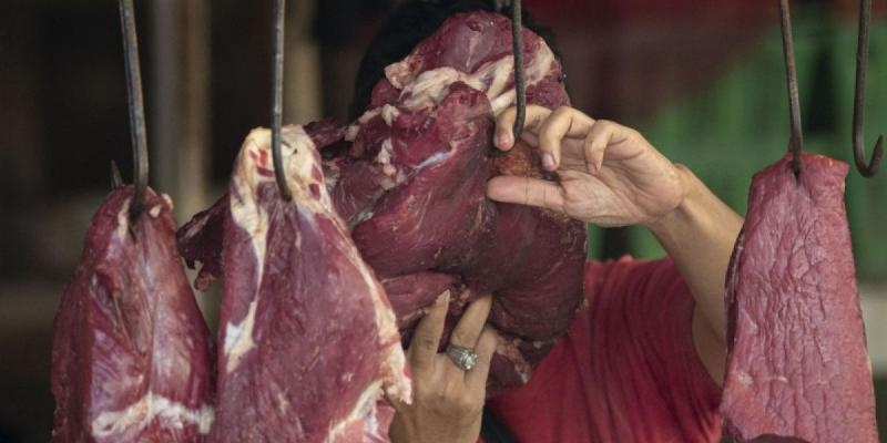 Kuota Impor cuma Untungkan Kartel