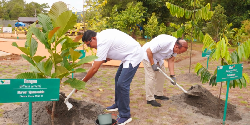 Reklamasi 3.791 Hektar Lahan, MIND ID dan Vale Indonesia Wujudkan Tambang Lestari