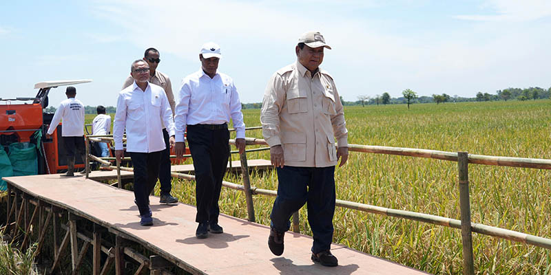 Menko Zulhas dan Mentan Amran Temani Presiden Prabowo Panen Raya Padi di Majalengka