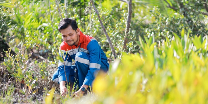 Pertamina Perkuat Program Hutan Lestari untuk NZE 2060