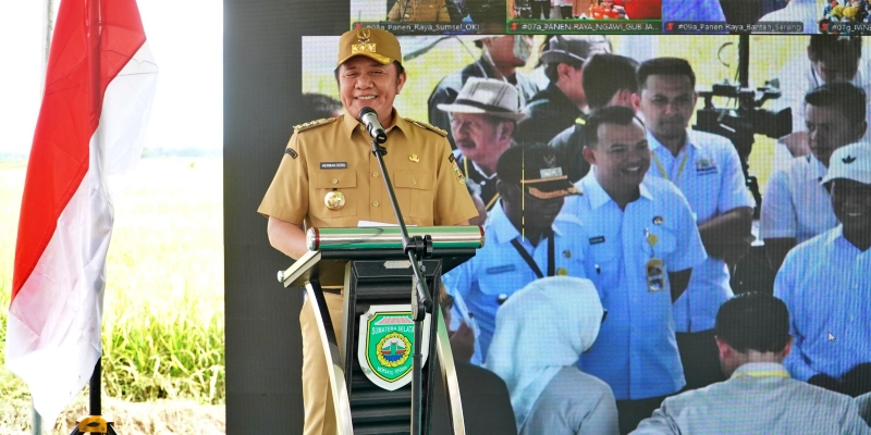 Panen Raya Serentak, Herman Deru Ajak Petani Tak Ragu Tingkatkan Produksi