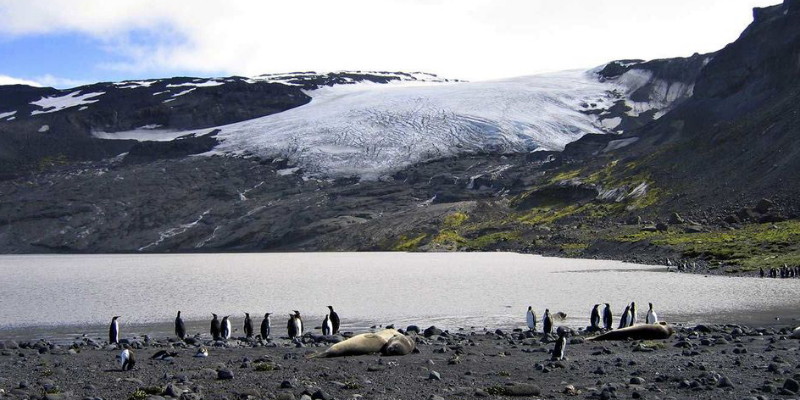 Aneh, Dua Pulau Tak Berpenghuni Kena Tarif Trump