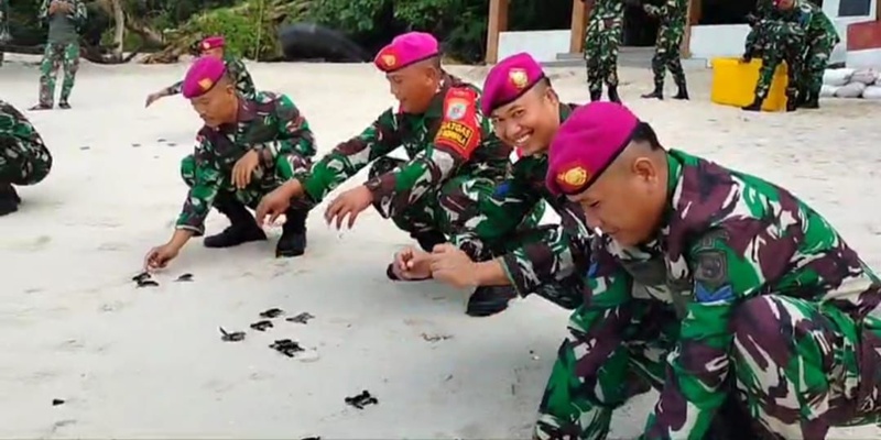 Jaga Ekosistem Laut, Satgasmar Lepasliarkan Tukik di Pulau Berhala