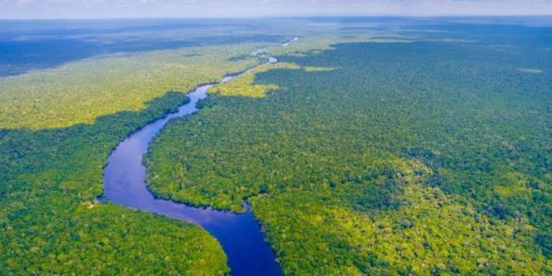 Pemimpin Adat Brasil Tolak Pengeboran Minyak di Amazon