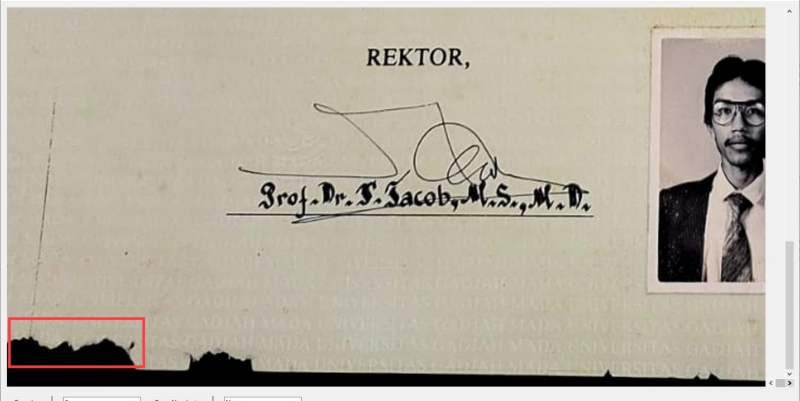 UGM Harus Tampil Bareng Jokowi Cegah Persepsi Negatif Publik