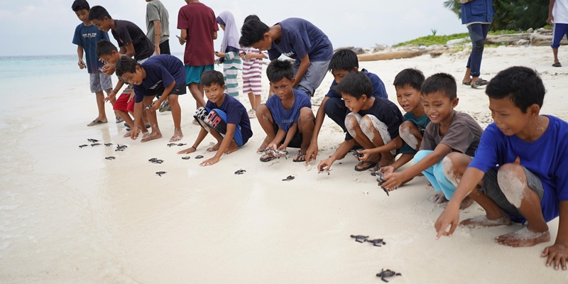 Telkom Peringati Hari Penyu Sedunia Lewat Pelepasan Tukik